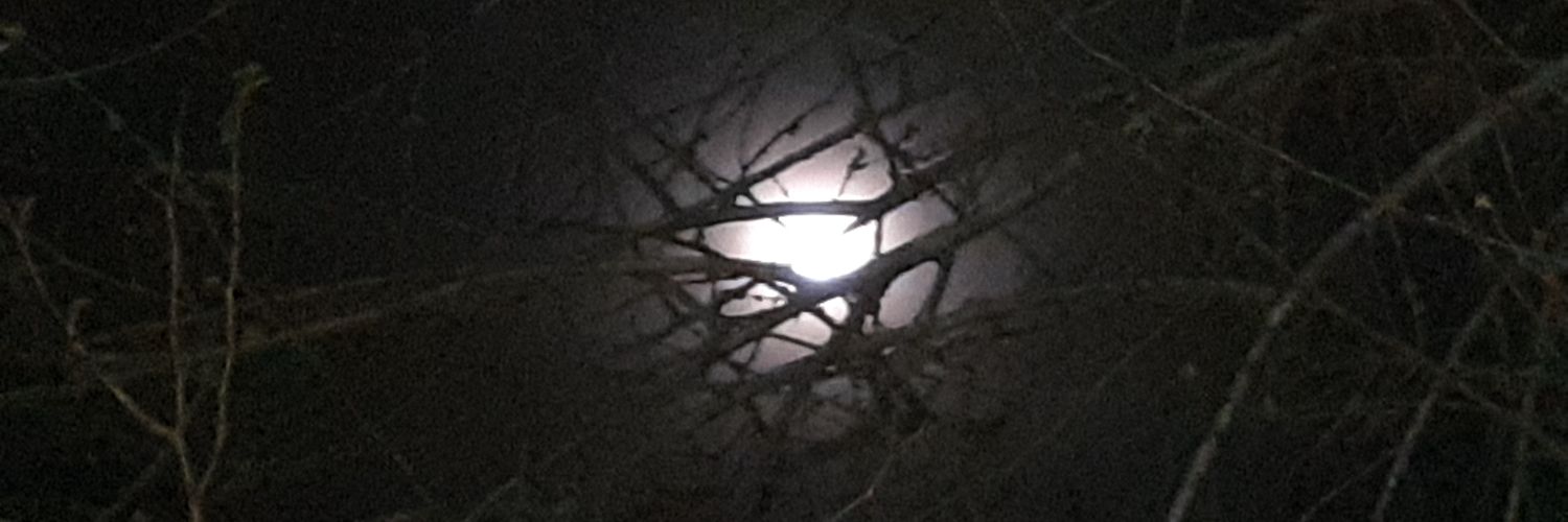 LuYlonen's profile banner image