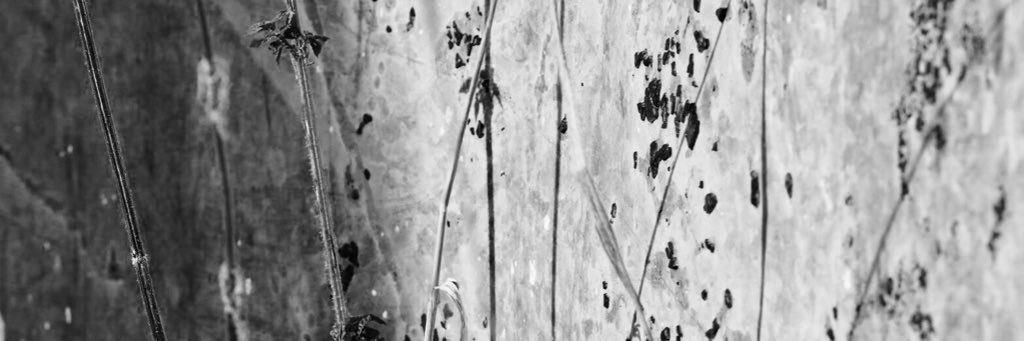 AnnamToth's profile banner image