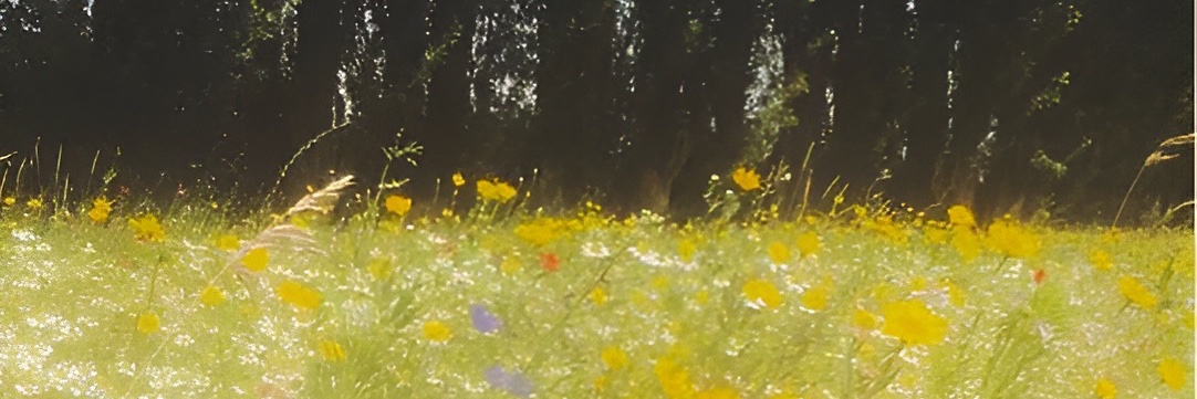 zimraa_'s profile banner image