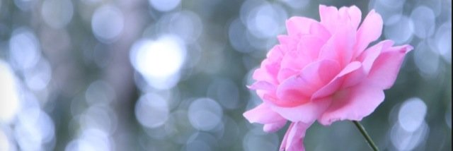 eleaseJanee's profile banner image