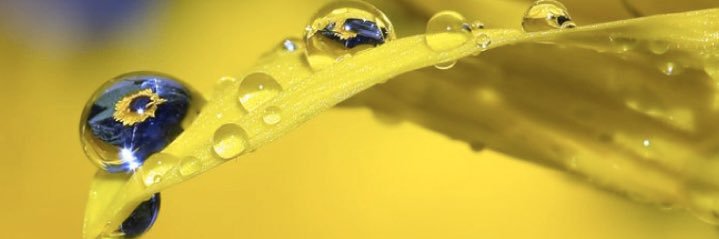 Steph Kegels banner