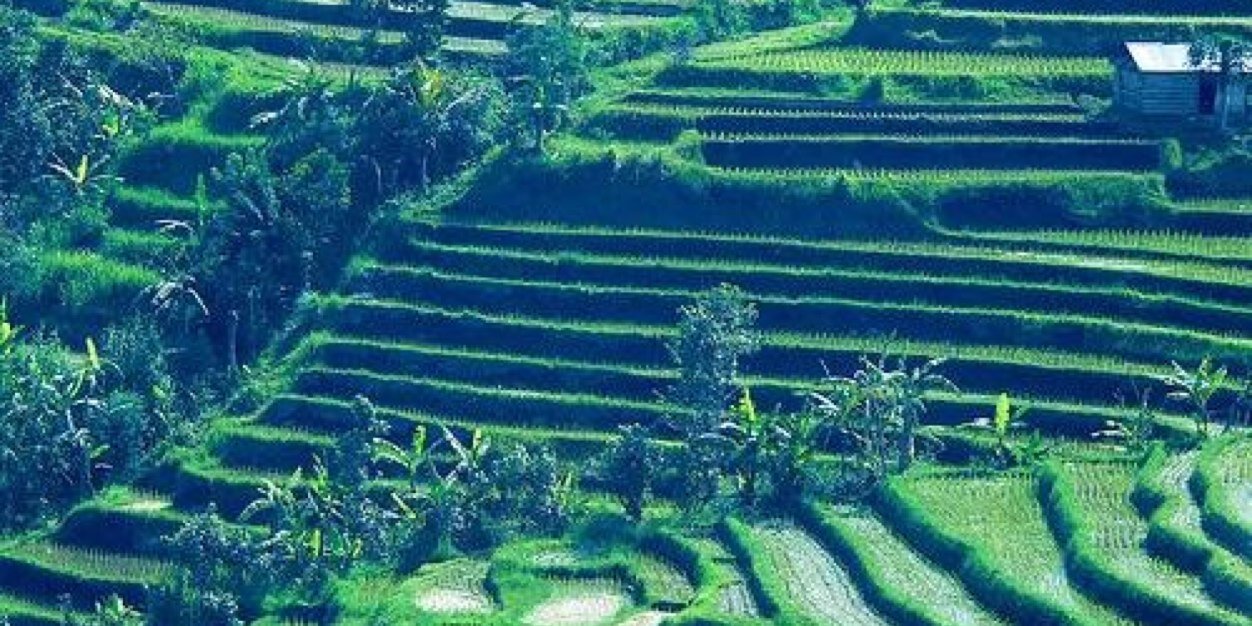 Rullysyafiq's profile banner image