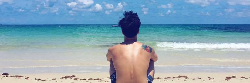 Topper Fabregas banner