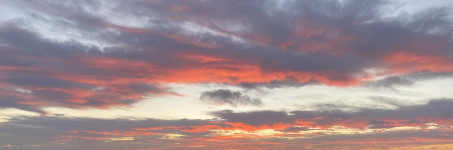ToriLovington's profile banner image