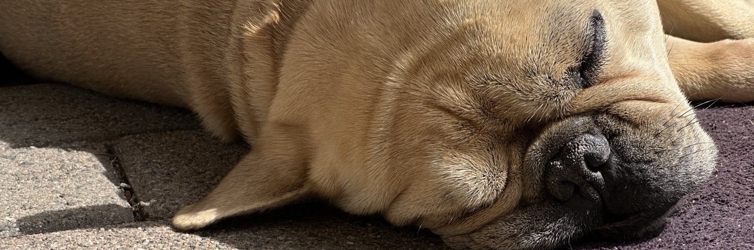 amy banner