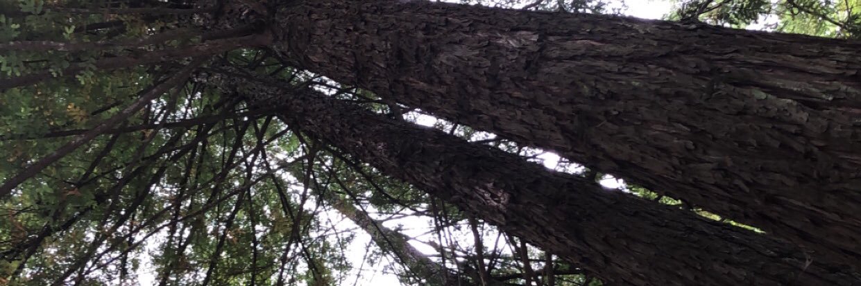 uhleksuss's profile banner image