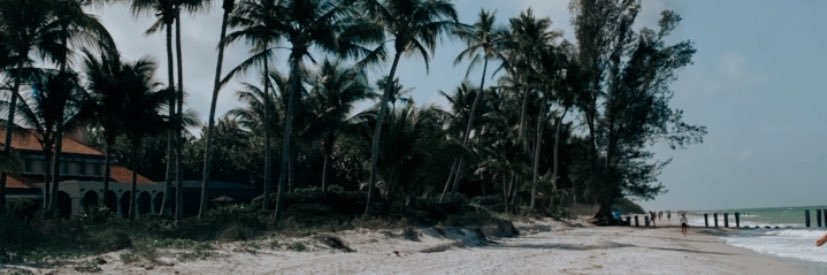 giantonelllla's profile banner image