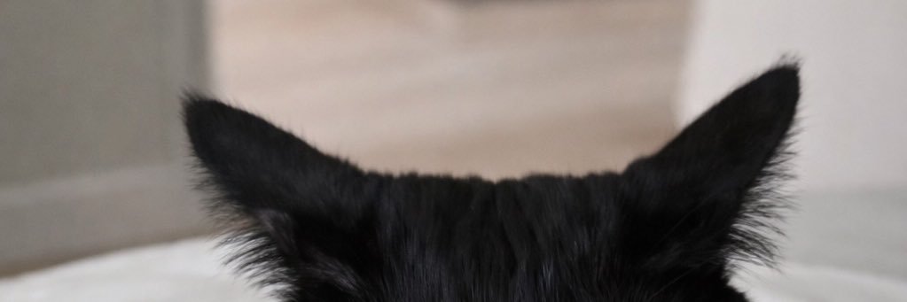 #TeethKeith ft ludacris banner