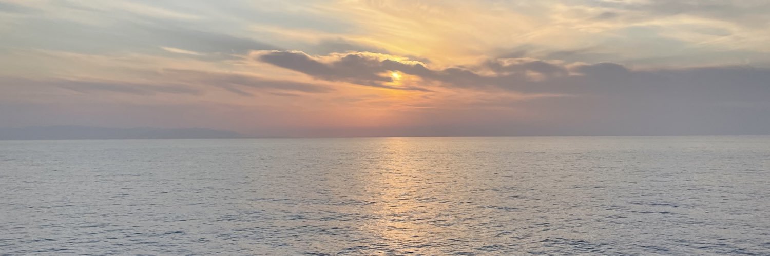 tiroalcodillo's profile banner image