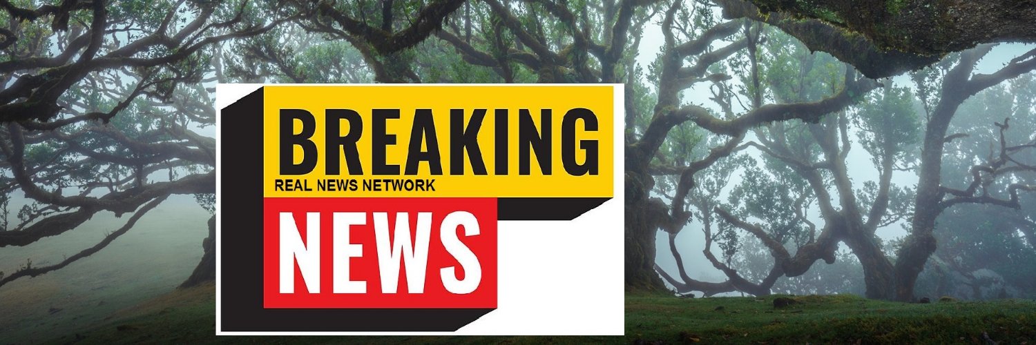 RealNews3362's profile banner image