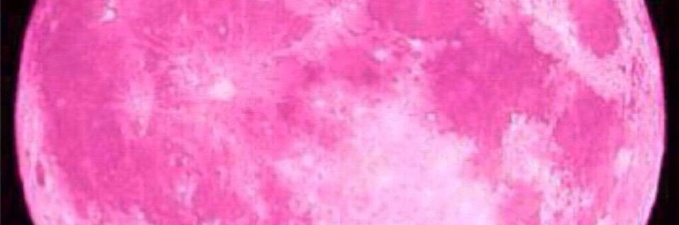 占い師🔮心理占星術ルナ🌙 banner