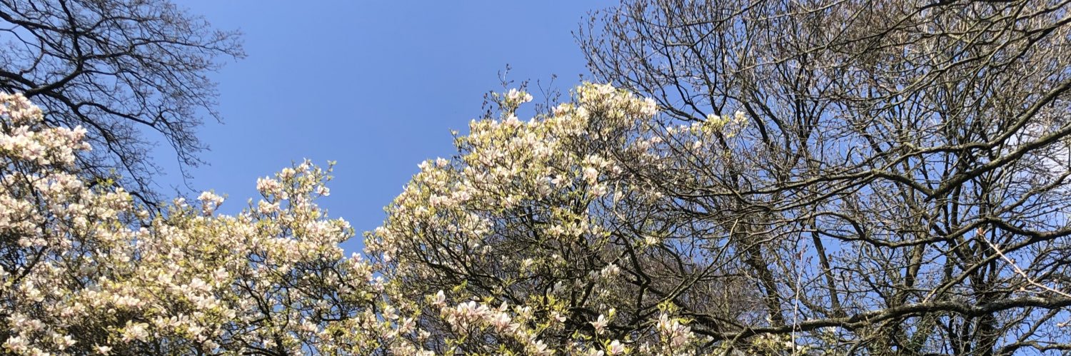LjBamber's profile banner image