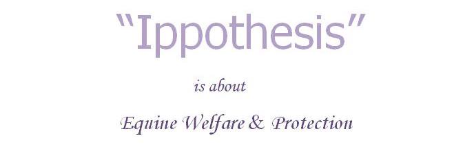 ippothesis's banner