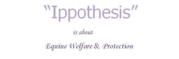 ippothesisGR Profile Banner