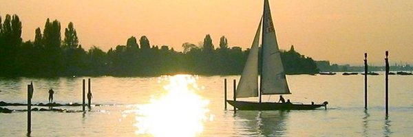 MrDimPools Profile Banner