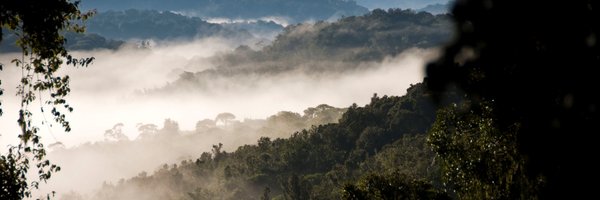 CFAforestry Profile Banner