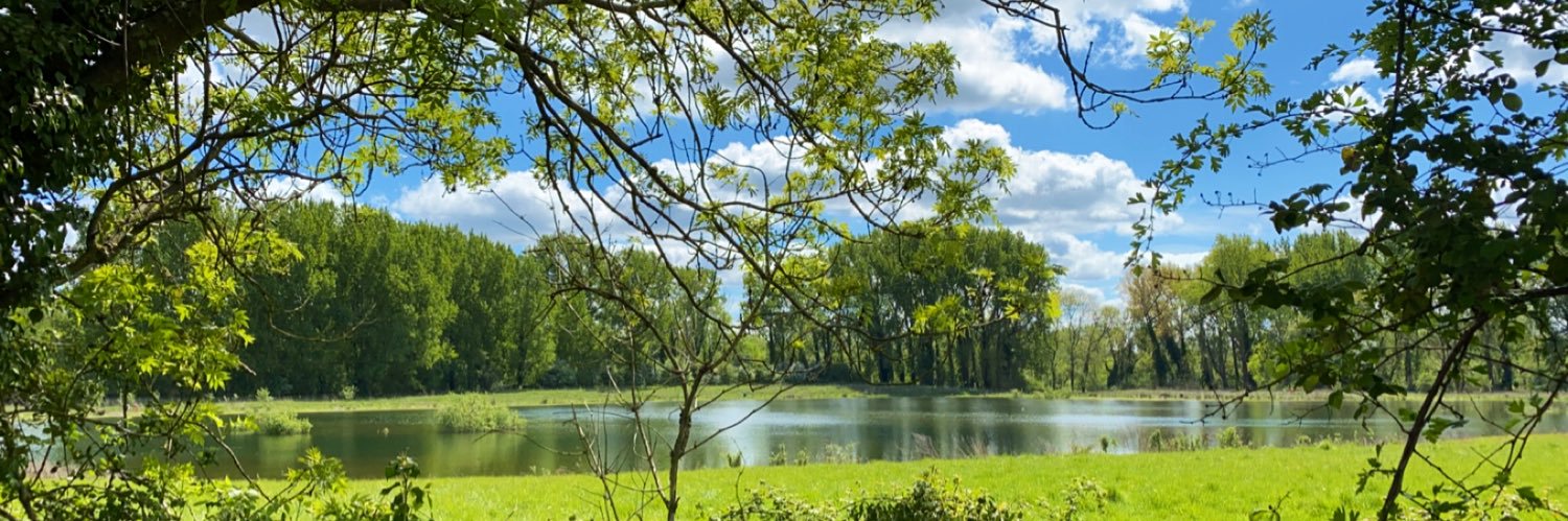 CharleeCurtis's profile banner image