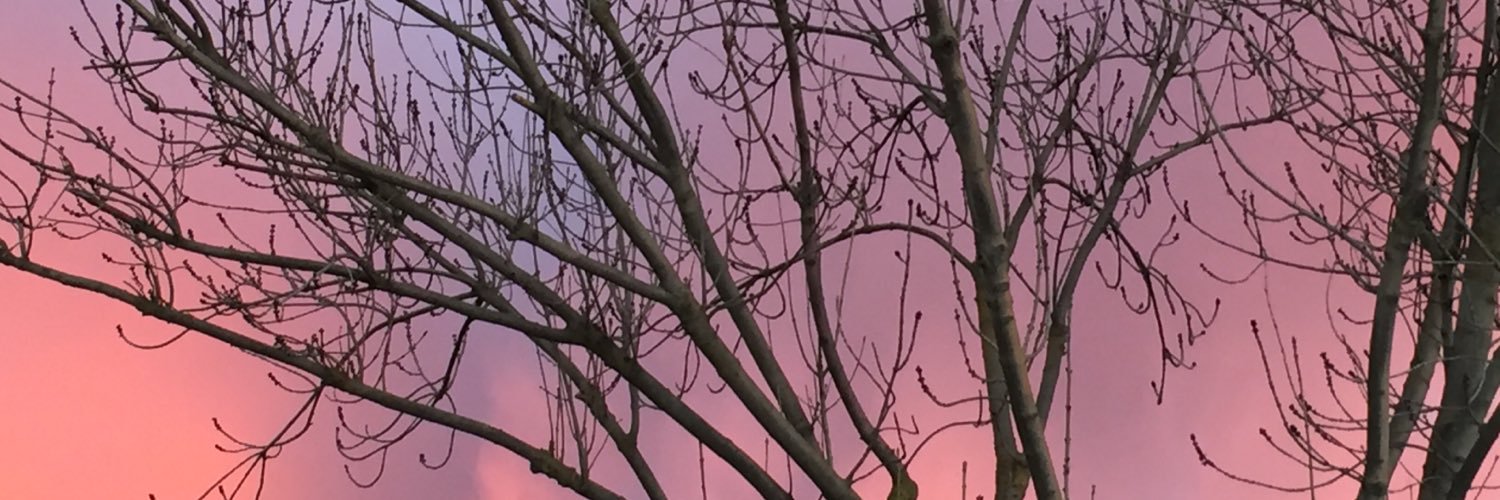 DeborahRulias's profile banner image