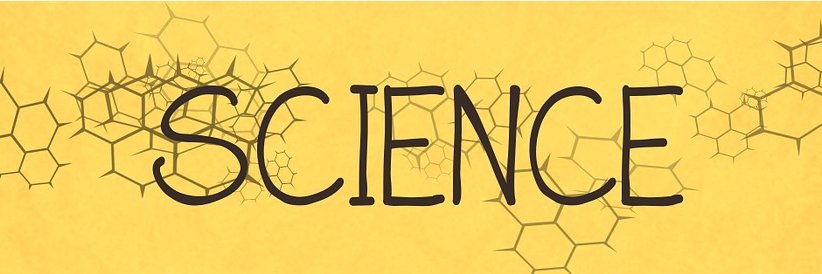 Markaela van Putten banner