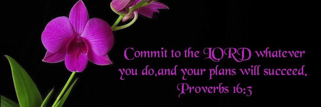 agnes_russel's profile banner image