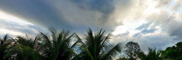 AbuhaimedSarah's profile banner image