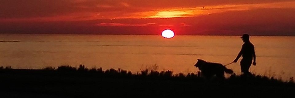 bobster060's profile banner image