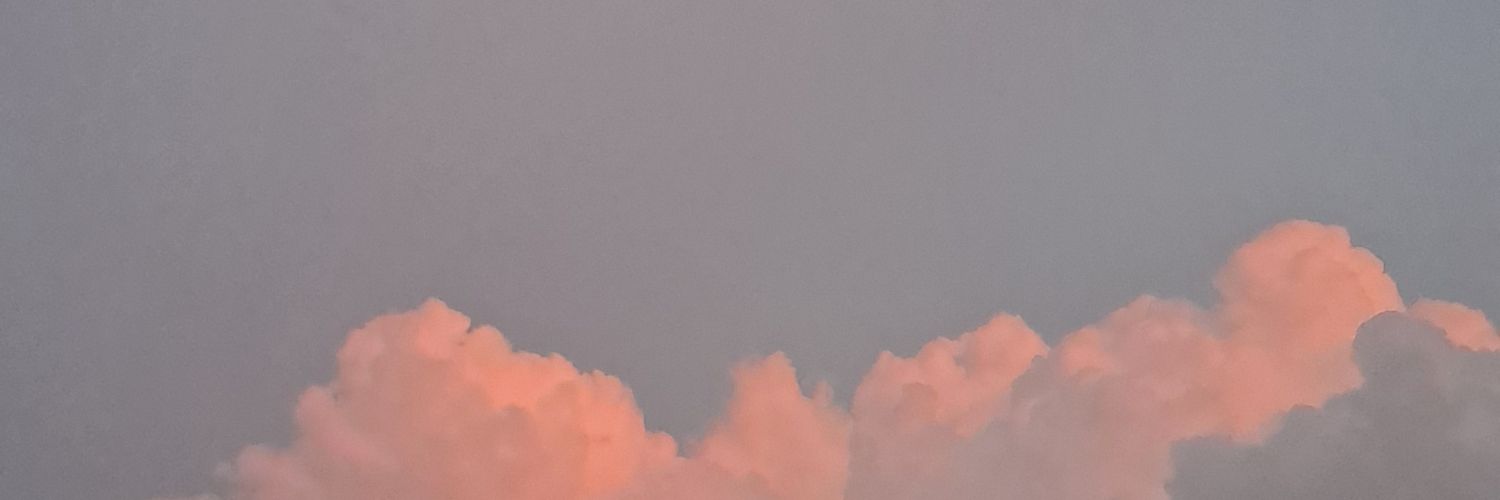 snowdrop_flow's profile banner image