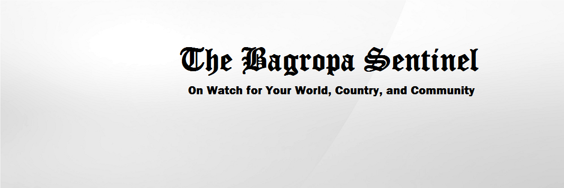 BGSentinel's profile banner image