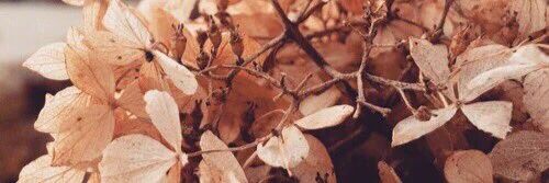 NJH_Giveaways's profile banner image