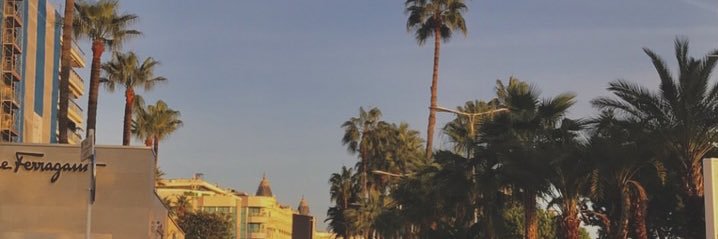 madyzuu's profile banner image
