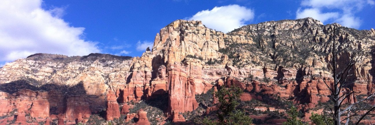 Phillip Popovich banner