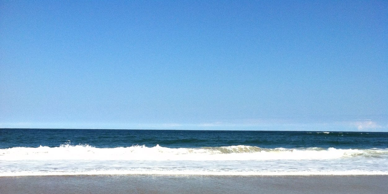 David A. Laviska 🌞🦮⧗🏳️‍🌈🧪🎶🌱🥽 banner