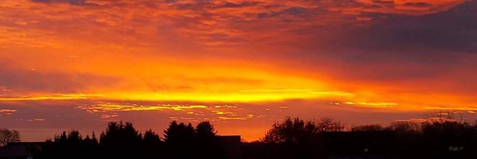 _3l3M3N7_'s profile banner image