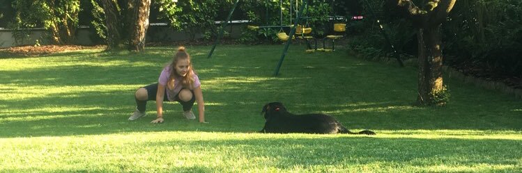 Camille_schrm's profile banner image