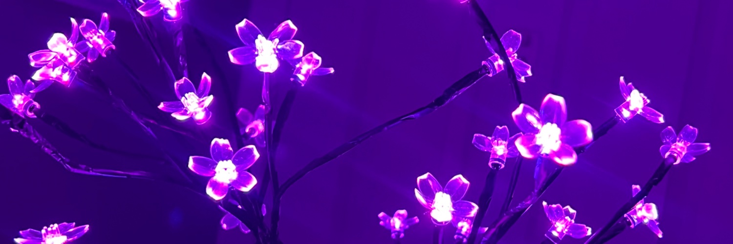 NicoolSteinbach's profile banner image