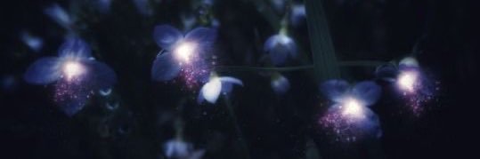 TalesOfPhoenix's profile banner image