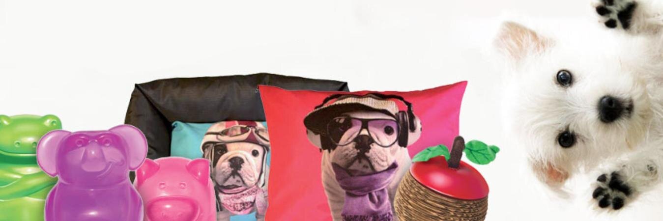 kingpet_es's profile banner image