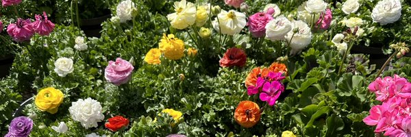 anners44 Profile Banner