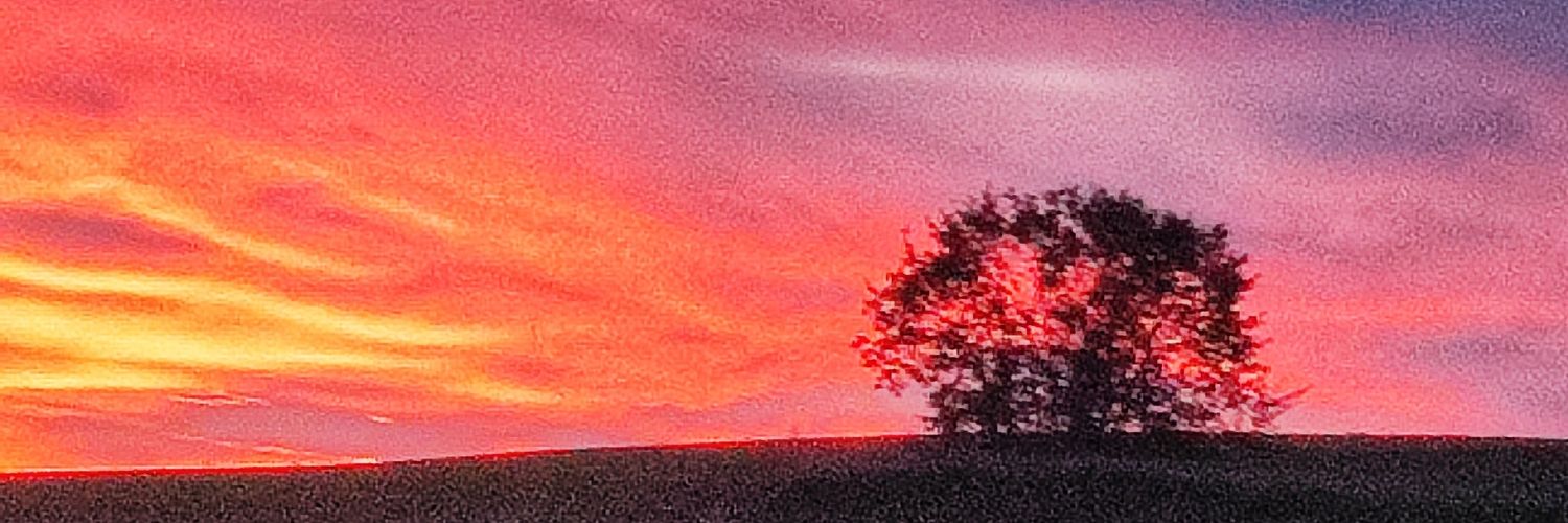 halley2076's profile banner image