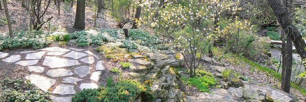 AvantLandscape Profile Banner