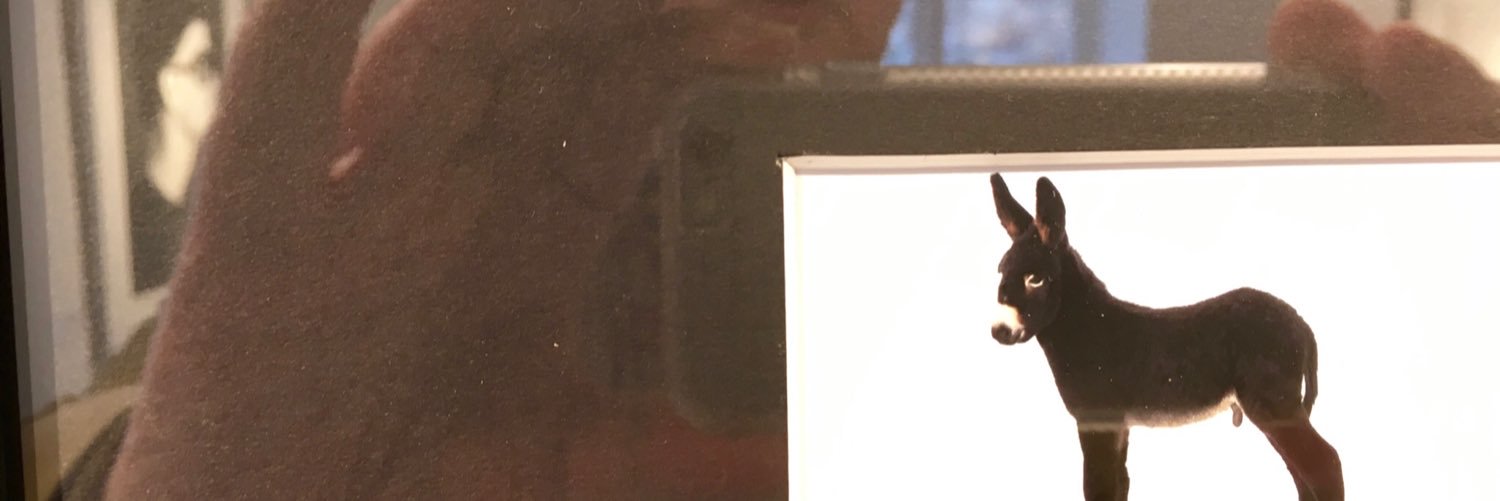lojef's profile banner image