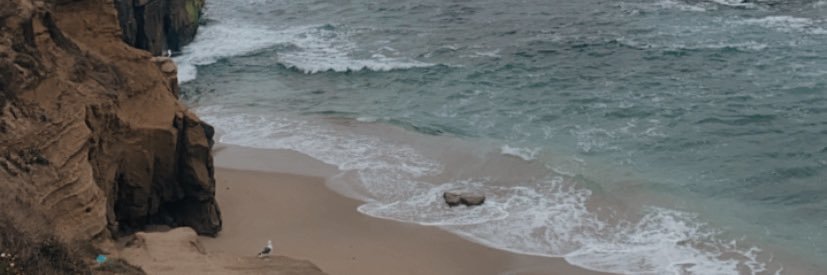 ryleecourtright's profile banner image
