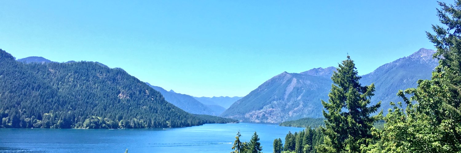 Lauren Scofield banner