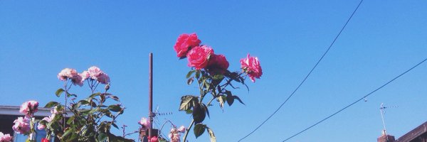 BethannyParsons Profile Banner