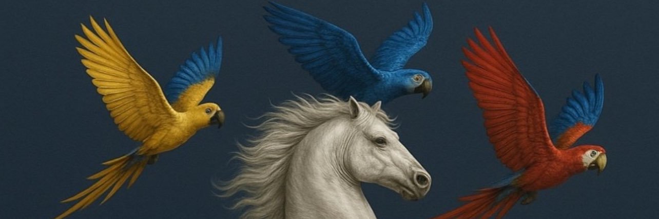 deniz74's profile banner image