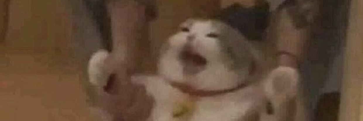 Sailor Snickers ☾ banner