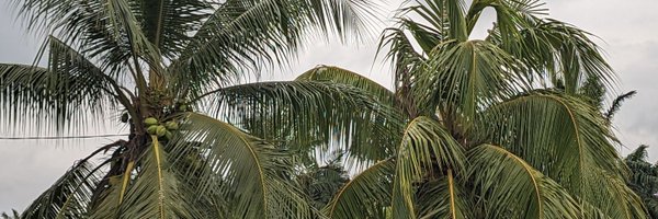 emykapachi22 Profile Banner