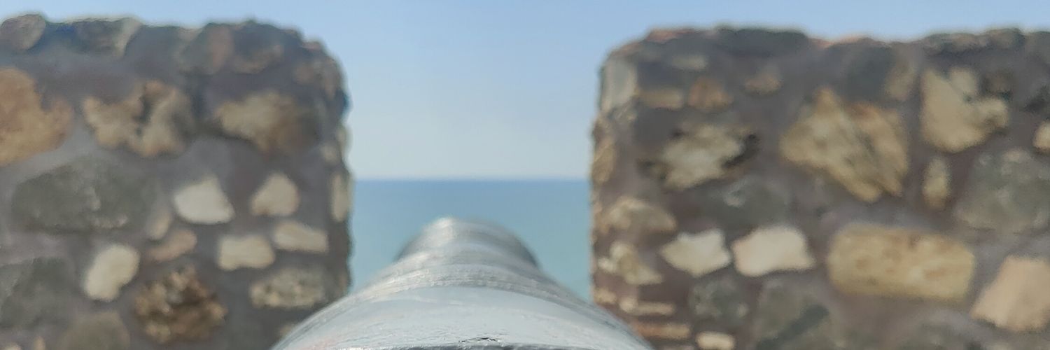 2llitredeau's profile banner image
