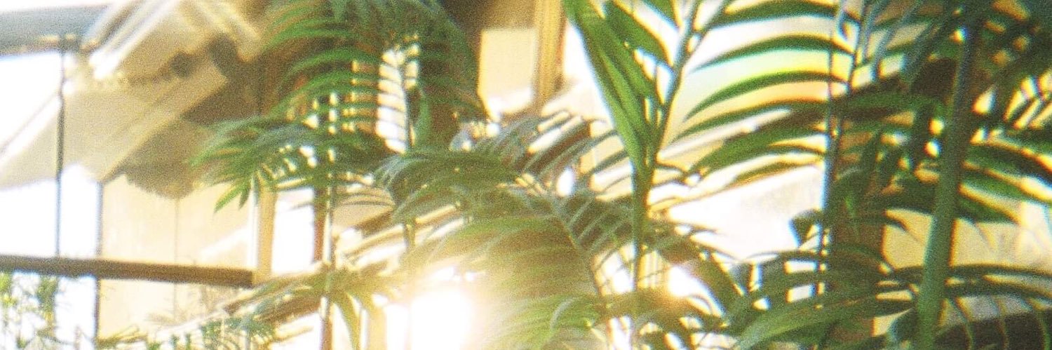 Mandy Te banner
