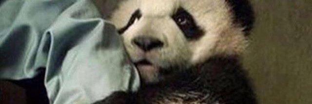 Giulya_11's profile banner image